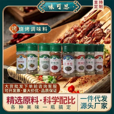 厂家供应烧烤调味料孜然粉辣椒粉白胡椒粉花椒粉黑胡椒粉椒盐粉香