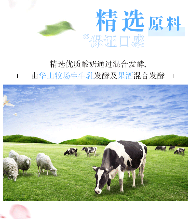 698531a852c909d8baaa5d82f9727c