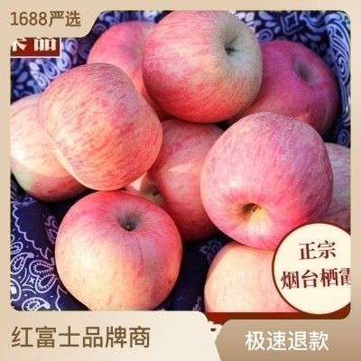 2023秋霜果滋正宗烟台栖霞红富士苹果新鲜带皮吃山东脆甜冰糖心包