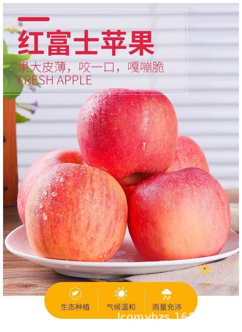 a110510b26da3bf672c00489e85ed4