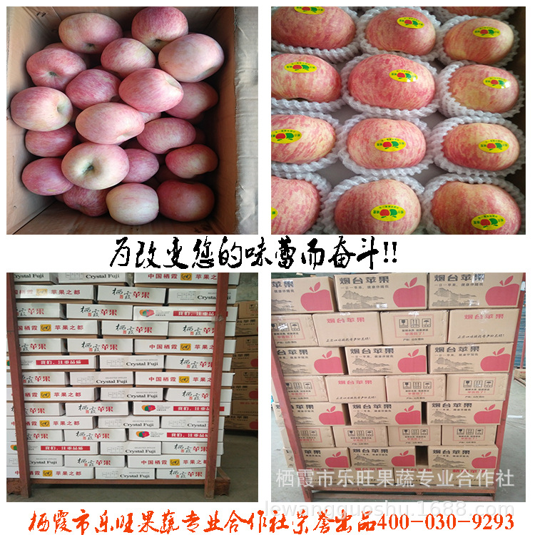 果肉1
