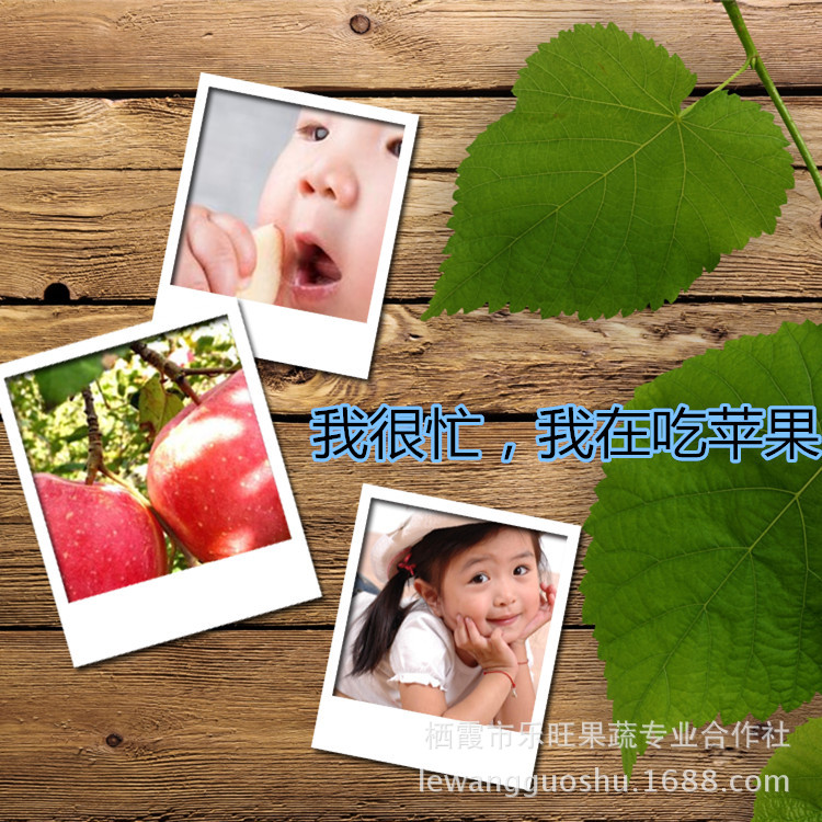 苹果发货中