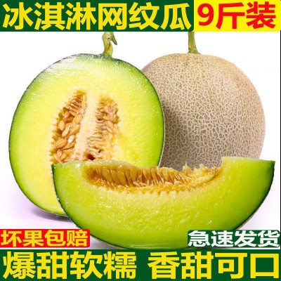 海南网纹蜜瓜哈密瓜网纹瓜蜜瓜超甜软糯甜瓜玫珑瓜1-5个新鲜水果