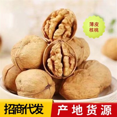代发新疆185纸皮生核桃批发 手剥薄皮草本味阿克苏原味烤核桃