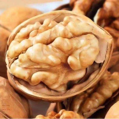 新疆185纸皮核桃批发代发500g 阿克苏薄皮手剥烤熟核桃零食生核桃