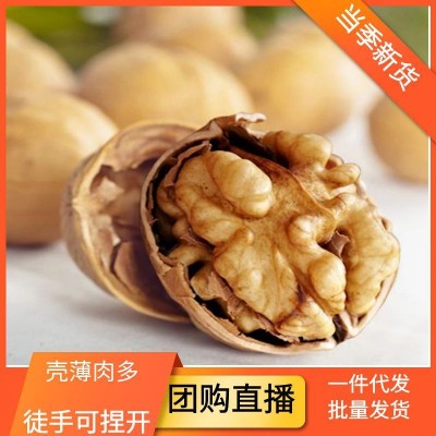 批发新货新疆纸皮核桃阿克苏生核桃185核桃干果新疆特产薄皮核桃