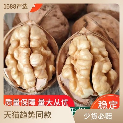 23新疆特产阿克苏兵团185纸皮薄皮手剥大果核桃孕妇儿童零食原味