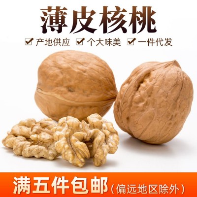 新疆核桃阿克苏薄皮纸皮核桃 500g原味干果核桃坚果零食