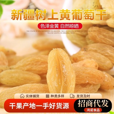 无沙水洗黄葡萄干代发批发500g 大颗提子干蜜饯果干树上黄葡萄干