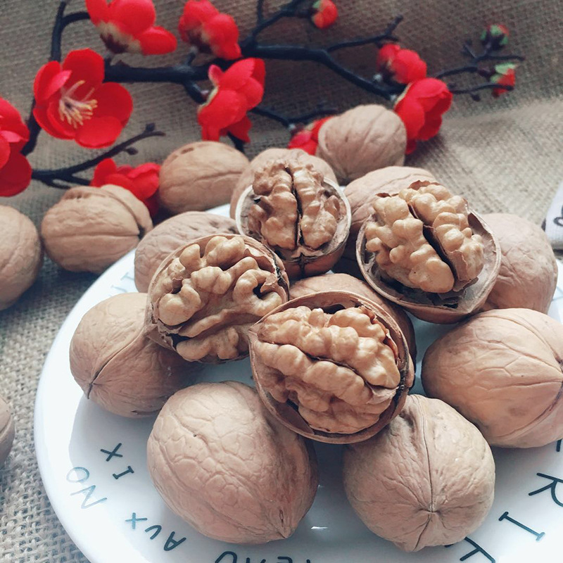 纸皮核桃新疆