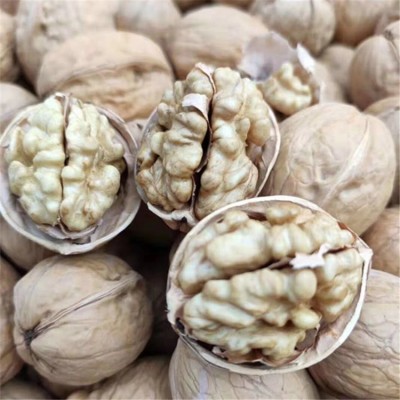 新疆纸皮核桃大量批发阿克苏手捏核桃散装185坚果