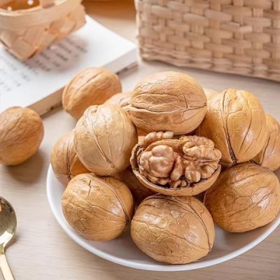 代发新疆纸皮烤核桃熟核桃批发500g薄皮手剥坚果零食新疆烤核桃