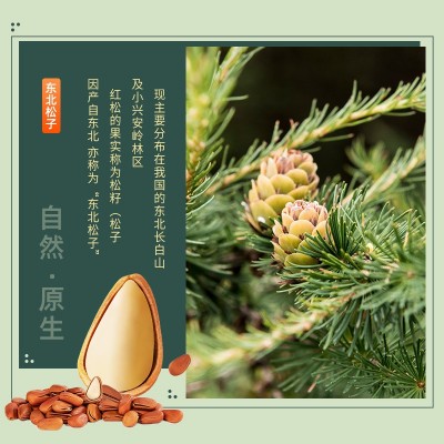 新货东北松子特大批发坚果休闲零食厂家特产野生开口手剥松 子干果