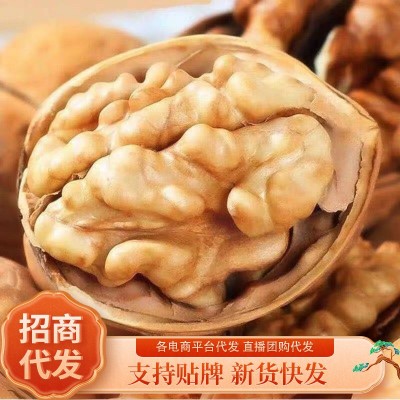新货新疆185纸皮核桃批发500g 代发手剥阿克苏特产薄皮大果生核桃