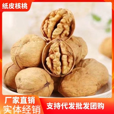 新疆185纸皮核桃手捏即开 阿克苏纸皮核桃支持批发代发