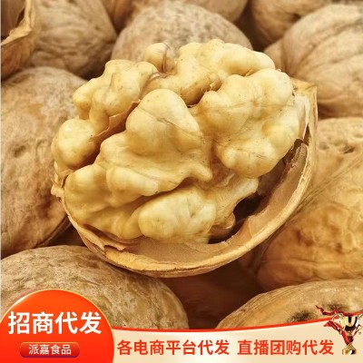 新疆特产185纸皮核桃批发500g 手剥新核桃大果坚果零食薄皮生核桃