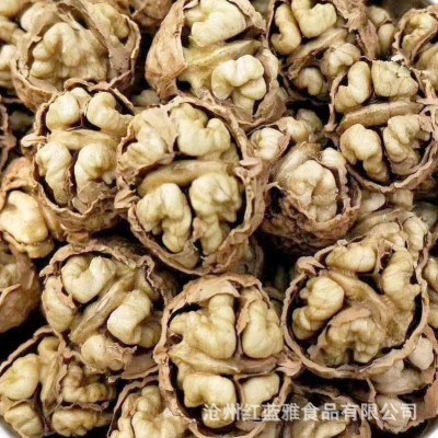 【代发】厂家新货云南核桃纸皮核桃500g 薄皮肉多云南皮薄生核桃