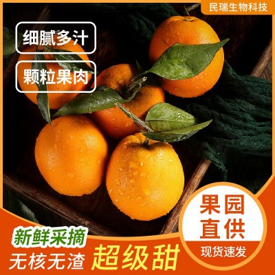 源头直发爆甜热恋橙十斤装包邮现采现发冰糖橙爆汁橙子送礼水果