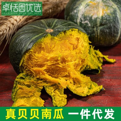 卓恬园 山东贝贝南瓜 粉糯香甜迷你板栗味南瓜宝宝辅食代餐小南瓜