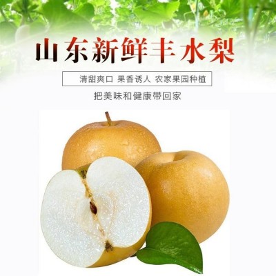 山东丰水梨 脆于秋月梨莱阳新鲜水果产地酥脆梨代发梨子 新年礼品