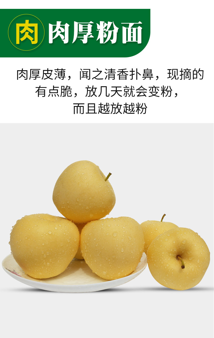 黄元帅详情1_06