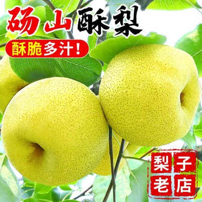 雪梨酥梨子青皮应翠冠10砀山梨青梨皇当季水果新鲜斤香梨整箱
