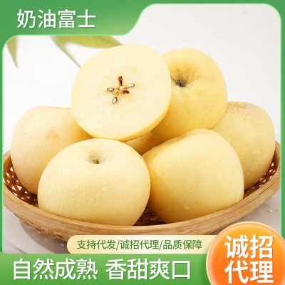山东 烟台奶油富士苹果纯甜无酸5斤当季新鲜黄金苹果牛奶冰糖心