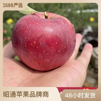 昭通红富士苹果水果新鲜应当季丑萍果3斤装苹果冰糖心可一件代发