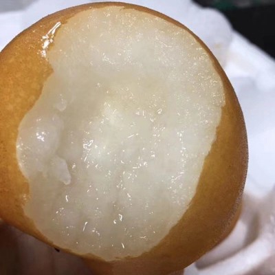 烟台产地莱阳秋月梨新鲜甜脆多汁狠甜水果秋冬5斤装直发莱阳美梨