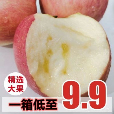 现摘山西冰糖心苹果新鲜红富士苹果水果脆甜丑苹果整箱批发 平萍果