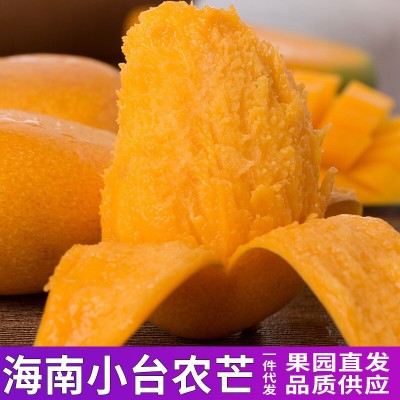 海南小台芒代发应季新鲜热带水果中大果非贵妃芒金煌芒金黄小台农