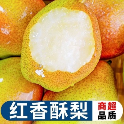 香梨新鲜水果当季整箱山西红香酥梨包邮应季雪梨酥梨大梨子批发代
