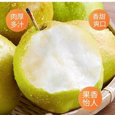 现货山西玉露香梨子新鲜应当季孕妇水果酥梨脆甜多汁整箱礼盒8斤