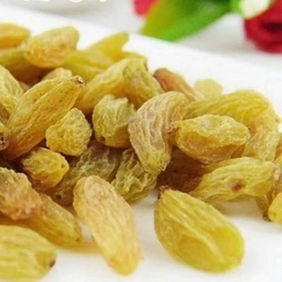 新疆特产树上黄葡萄干代发批发500g 大颗无沙提子果干零食葡萄干