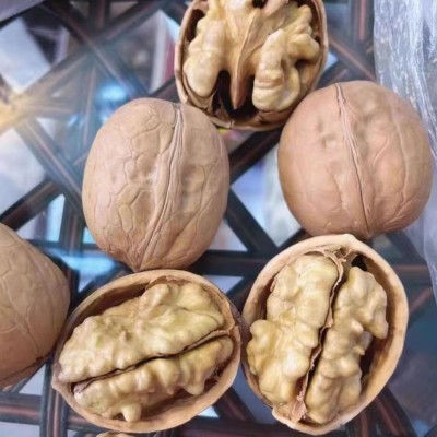 新疆薄皮33核桃阿克苏特产生核桃坚果原料500g起大量现货一件代发
