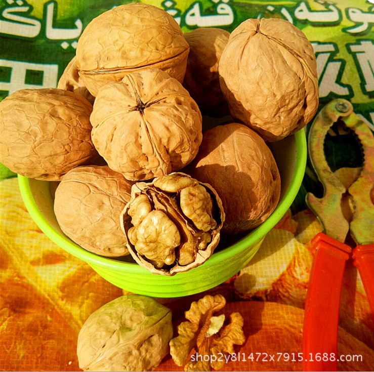 核桃14.JPG