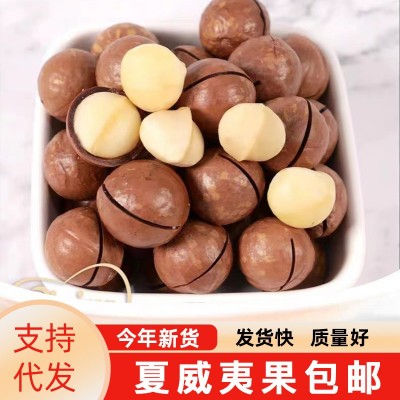 【代发】夏威夷果大果奶油味100克150克250克坚果开口去壳器零食