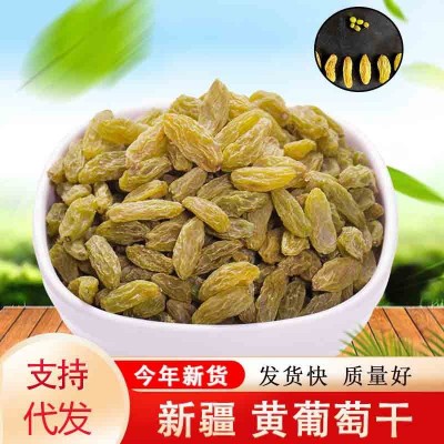 新疆特产无核葡萄干批发500g 散装大颗粒葡萄提子干零食黄葡萄干