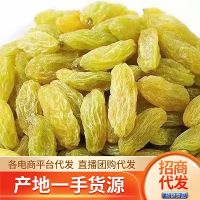 代发树上黄葡萄干批发500g 无沙大颗黄提子干果零食果干黄葡萄干