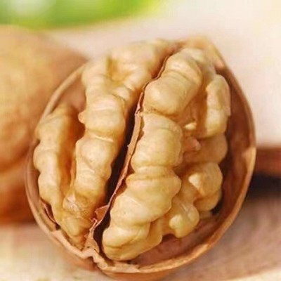阿克苏185纸皮核桃批发500g 新疆特产手剥核桃坚果零食薄皮生核桃