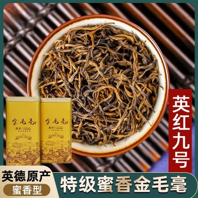 高山老树英德红茶英红九号金毛毫批发浓香型春茶新茶罐装1959