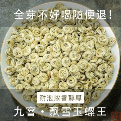 九窨茉莉玉螺王2023新茶茉莉花茶浓香型耐泡特香广西花茶厂家直销