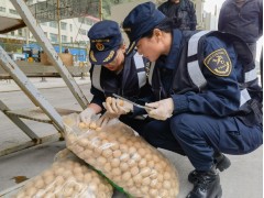 拉萨海关助力樟木口岸成为西藏出口农产品的主要通道