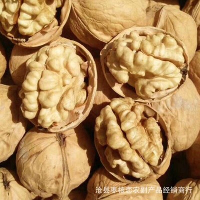 厂家批发185核桃新疆特产纸皮核桃原味桃仁饱满支持散装/袋装