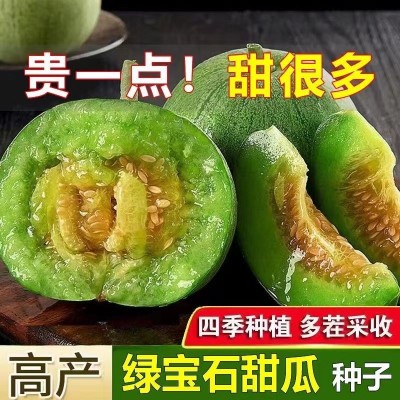 绿宝石甜瓜种子籽超甜薄皮香瓜冰糖春季四季脆瓜高青皮产香瓜种籽
