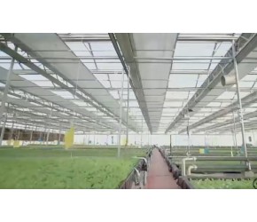 植物工厂的技术，也可用在传统农业上？来看实际效果