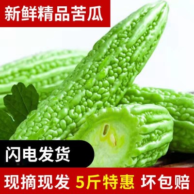 新鲜苦瓜5斤农家自种凉瓜苦瓜脆嫩营养蔬菜山东产地现摘现发1斤