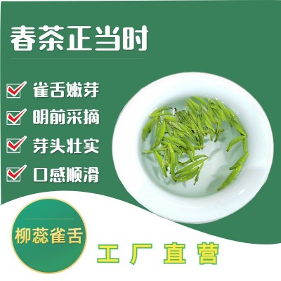 新茶绿茶雀舌批发散装柳蕊雀舌茶散装四川茶叶高山茶叶厂家直供