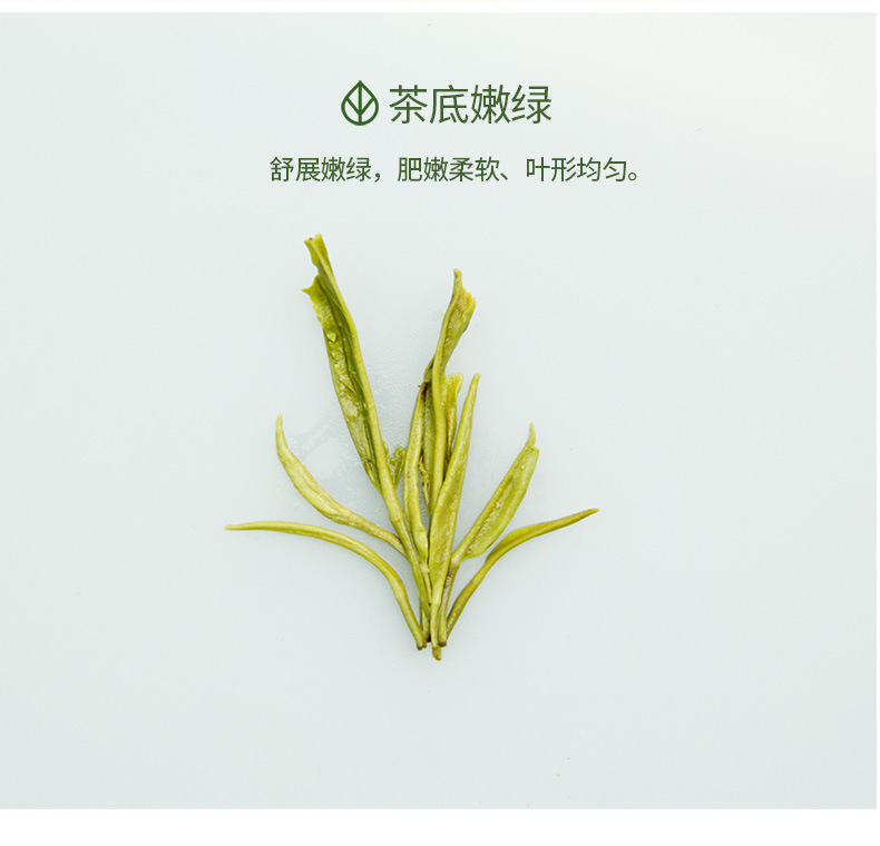 阿里-2019-恩施玉露003_06.jpg