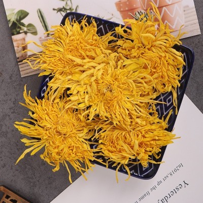 黄山新花金丝皇菊独立包装菊花茶一件代发直播带货黄菊花养生茶